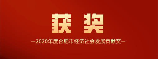 又得一獎(jiǎng)！中水三立喜獲2020年度合肥市經(jīng)濟(jì)社會(huì)發(fā)展貢獻(xiàn)獎(jiǎng)